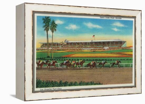 Santa Anita Park Horse Races - Arcadia, CA-Lantern Press-Framed Stretched Canvas