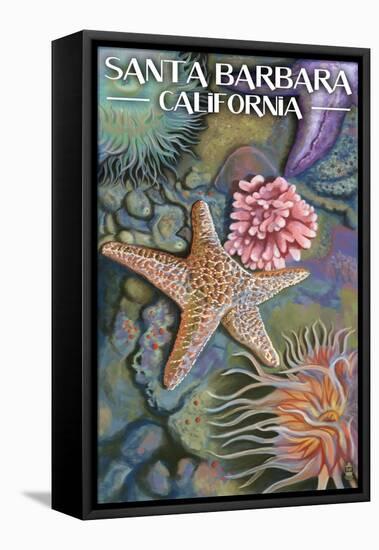 Santa Barbara, California - Tidepools-Lantern Press-Framed Stretched Canvas