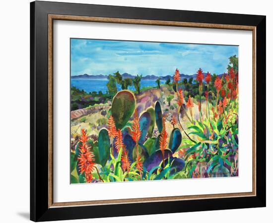 Santa Barbara Grace-Carissa Luminess-Framed Giclee Print