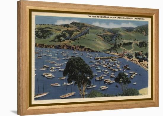 Santa Catalina, California - View of the Isthmus Harbor-Lantern Press-Framed Stretched Canvas