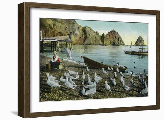 Santa Catalina Island, California - View of Sea Gulls at Avalon-Lantern Press-Framed Art Print