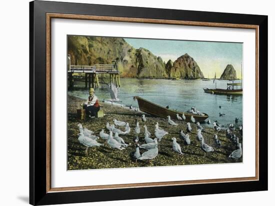 Santa Catalina Island, California - View of Sea Gulls at Avalon-Lantern Press-Framed Art Print