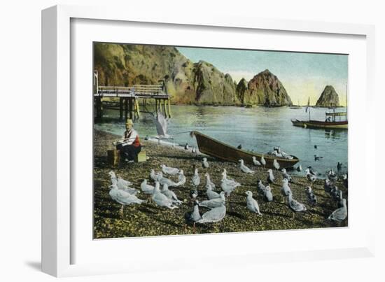 Santa Catalina Island, California - View of Sea Gulls at Avalon-Lantern Press-Framed Art Print