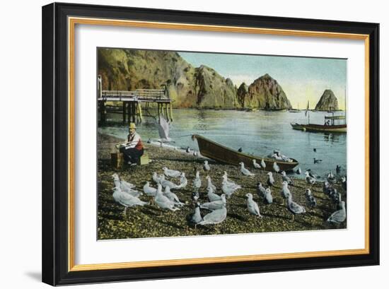 Santa Catalina Island, California - View of Sea Gulls at Avalon-Lantern Press-Framed Art Print