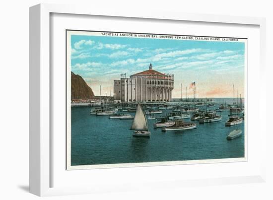 Santa Catalina Island, California - Yachts at Anchor in Avalon Bay-Lantern Press-Framed Art Print