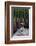 Santa Catalina Island desert iguana in front of barrel cactus-Claudio Contreras-Framed Photographic Print