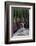 Santa Catalina Island desert iguana in front of barrel cactus-Claudio Contreras-Framed Photographic Print