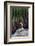 Santa Catalina Island desert iguana in front of barrel cactus-Claudio Contreras-Framed Photographic Print