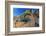 Santa Catalina Island side-blotched lizard in front of cactus-Claudio Contreras-Framed Photographic Print