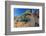 Santa Catalina Island side-blotched lizard in front of cactus-Claudio Contreras-Framed Photographic Print