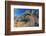 Santa Catalina Island side-blotched lizard in front of cactus-Claudio Contreras-Framed Photographic Print