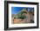 Santa Catalina Island side-blotched lizard in front of cactus-Claudio Contreras-Framed Photographic Print