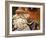 Santa Claus, Christmas Market, Cologne, Germany, Europe-Martin Child-Framed Photographic Print