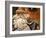 Santa Claus, Christmas Market, Cologne, Germany, Europe-Martin Child-Framed Photographic Print