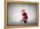 Santa Claus Rides a Bicycle-olly2-Framed Premier Image Canvas