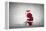 Santa Claus Rides a Bicycle-olly2-Framed Premier Image Canvas