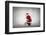 Santa Claus Rides a Bicycle-olly2-Framed Photographic Print