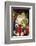 Santa Claus, Rothenberg Ob Der Tauber, Baden-Wurttemberg, Germany-Jim Engelbrecht-Framed Photographic Print