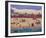 Santa Cruz Boardwalk-Barbara Olsen-Framed Giclee Print