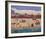 Santa Cruz Boardwalk-Barbara Olsen-Framed Giclee Print