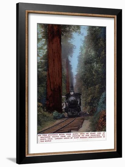 Santa Cruz, California - Big Tree Railroad Station-Lantern Press-Framed Art Print