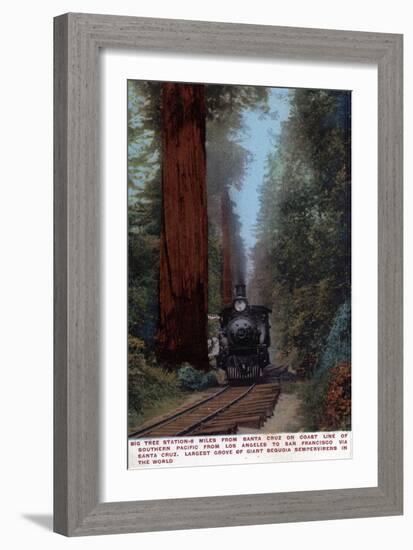 Santa Cruz, California - Big Tree Railroad Station-Lantern Press-Framed Premium Giclee Print