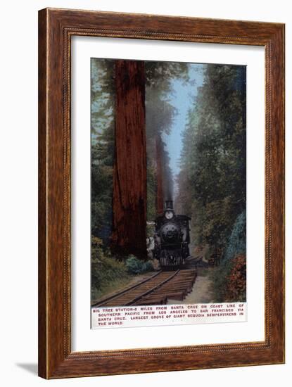 Santa Cruz, California - Big Tree Railroad Station-Lantern Press-Framed Premium Giclee Print