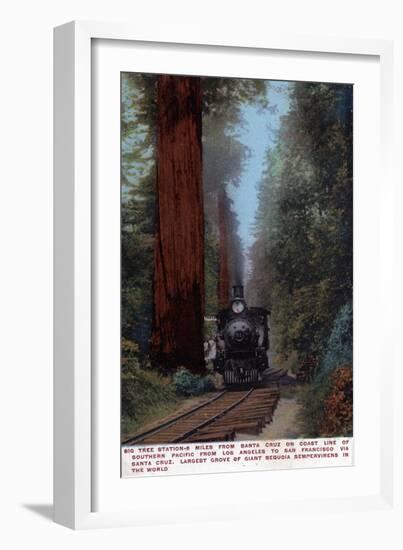 Santa Cruz, California - Big Tree Railroad Station-Lantern Press-Framed Premium Giclee Print