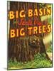 Santa Cruz, California - Big Trees Park, Big Basin Letters-Lantern Press-Mounted Art Print