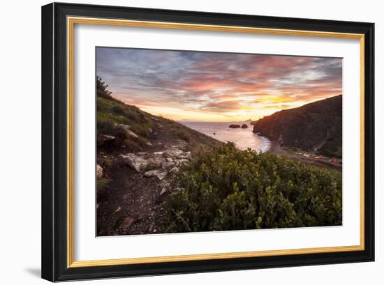 Santa Cruz, Channel Islands NP, CA, USA: View Along Coast And Over Scorpion Harbor During Sunrise-Axel Brunst-Framed Photographic Print