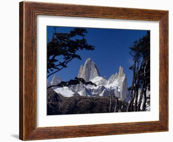 Santa Cruz Province, Cerro Fitzroy, in the Los Glaciares National Park, Framed by Trees, Argentina-Fergus Kennedy-Framed Photographic Print