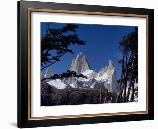 Santa Cruz Province, Cerro Fitzroy, in the Los Glaciares National Park, Framed by Trees, Argentina-Fergus Kennedy-Framed Photographic Print