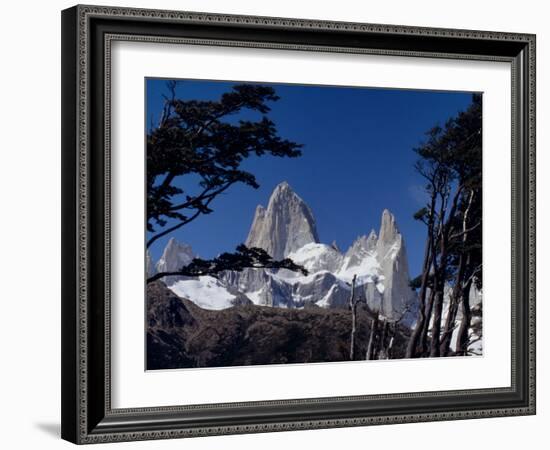 Santa Cruz Province, Cerro Fitzroy, in the Los Glaciares National Park, Framed by Trees, Argentina-Fergus Kennedy-Framed Photographic Print