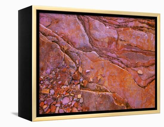 Santa Elena Canyon Abstract, Big Bend National Park-Mallorie Ostrowitz-Framed Premier Image Canvas