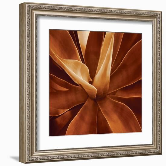 Santa Fe II-Caroline Kelly-Framed Art Print