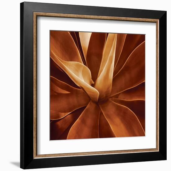 Santa Fe II-Caroline Kelly-Framed Art Print