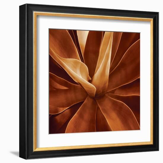 Santa Fe II-Caroline Kelly-Framed Art Print