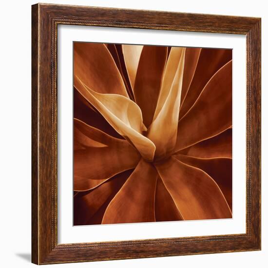 Santa Fe II-Caroline Kelly-Framed Art Print