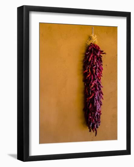 Santa Fe, New Mexico. Dried Red Chili Peppers and a Terra Cotta wall.-Jolly Sienda-Framed Photographic Print