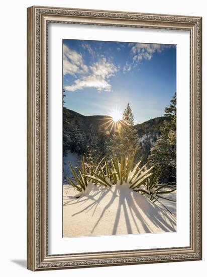 Santa Fe, New Mexico: Hyde Memorial State Park In Fresh Snow. Photographed Along The Chimasa Trail-Ian Shive-Framed Photographic Print