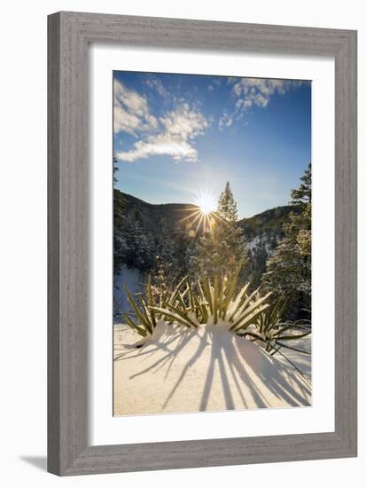 Santa Fe, New Mexico: Hyde Memorial State Park In Fresh Snow. Photographed Along The Chimasa Trail-Ian Shive-Framed Photographic Print