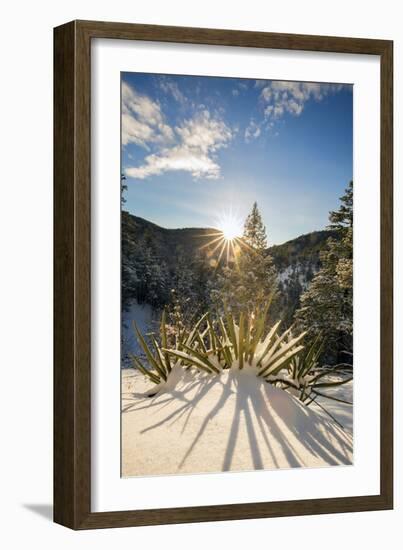 Santa Fe, New Mexico: Hyde Memorial State Park In Fresh Snow. Photographed Along The Chimasa Trail-Ian Shive-Framed Photographic Print