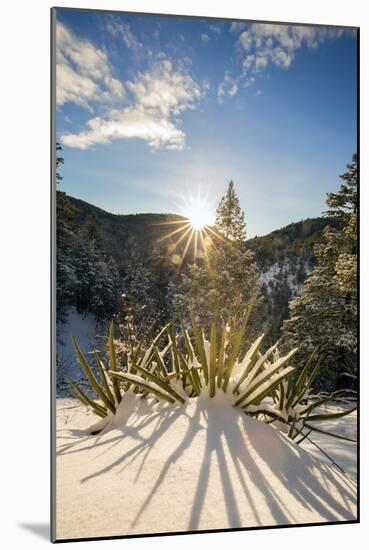 Santa Fe, New Mexico: Hyde Memorial State Park In Fresh Snow. Photographed Along The Chimasa Trail-Ian Shive-Mounted Photographic Print