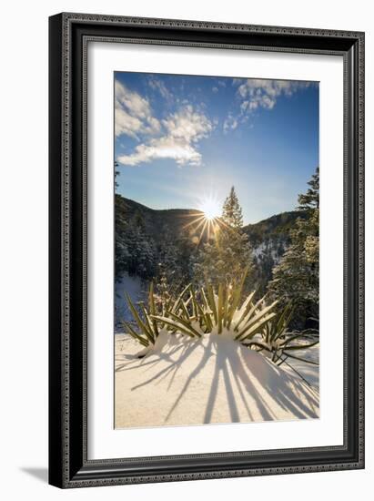 Santa Fe, New Mexico: Hyde Memorial State Park In Fresh Snow. Photographed Along The Chimasa Trail-Ian Shive-Framed Photographic Print