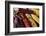 Santa Fe, New Mexico, USA. Dried Indian corn.-Julien McRoberts-Framed Photographic Print