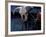 Santa Fe, New Mexico, USA-Judith Haden-Framed Photographic Print