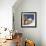 Santa Fe Smiling-Kristin Nelson-Framed Giclee Print displayed on a wall