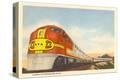 Stretched Canvas Print