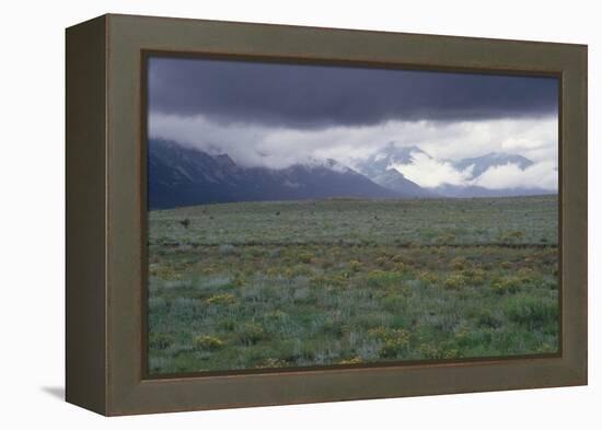 Santa Fe Trail Ruts on the Cimarron Cutoff Route, New Mexico-null-Framed Premier Image Canvas