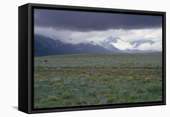 Santa Fe Trail Ruts on the Cimarron Cutoff Route, New Mexico-null-Framed Premier Image Canvas